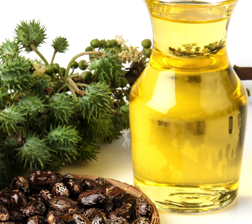 Jual Castor Oil