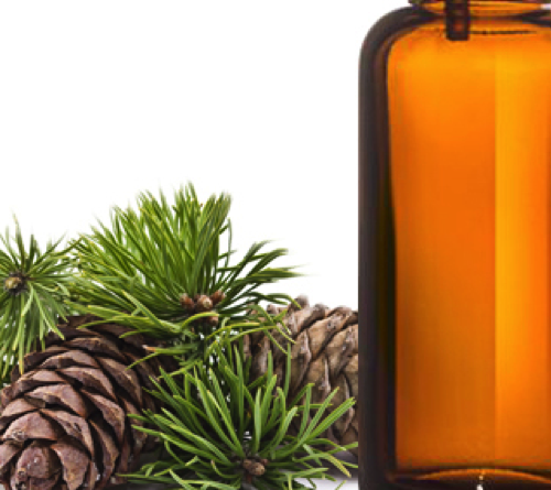 Jual Turpentine Oil