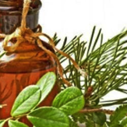 Pine Oil