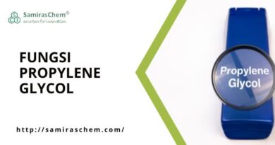 Fungsi Propylene Glycol
