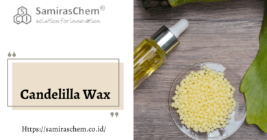 Jual Candelilla Wax