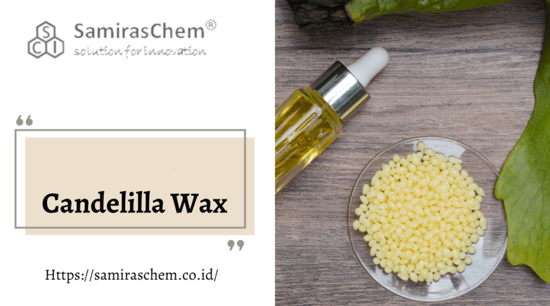 Jual Candelilla Wax