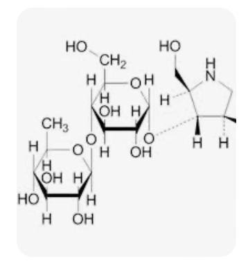 Jual Enzym Alpha Amylase