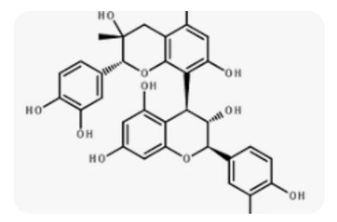 Jual Grapeseed Oil Refined