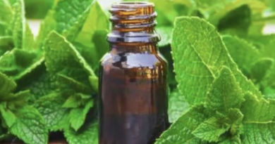 Jual Peppermint Oil