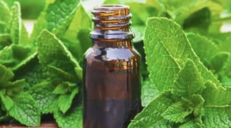 Jual Peppermint Oil