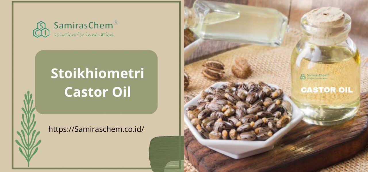 stoikhiometri castor oil