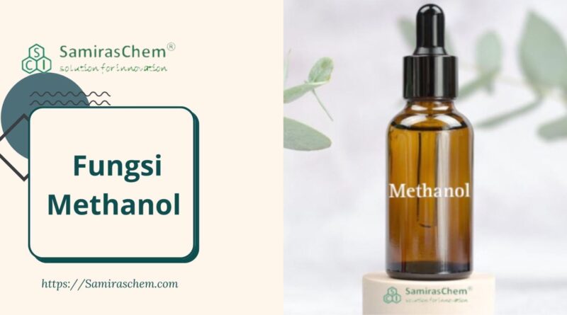 Fungsi Methanol