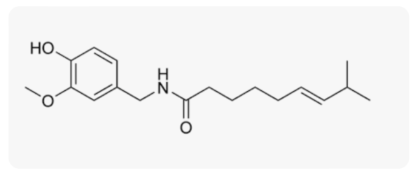 Jual Capsicum Oleoresin
