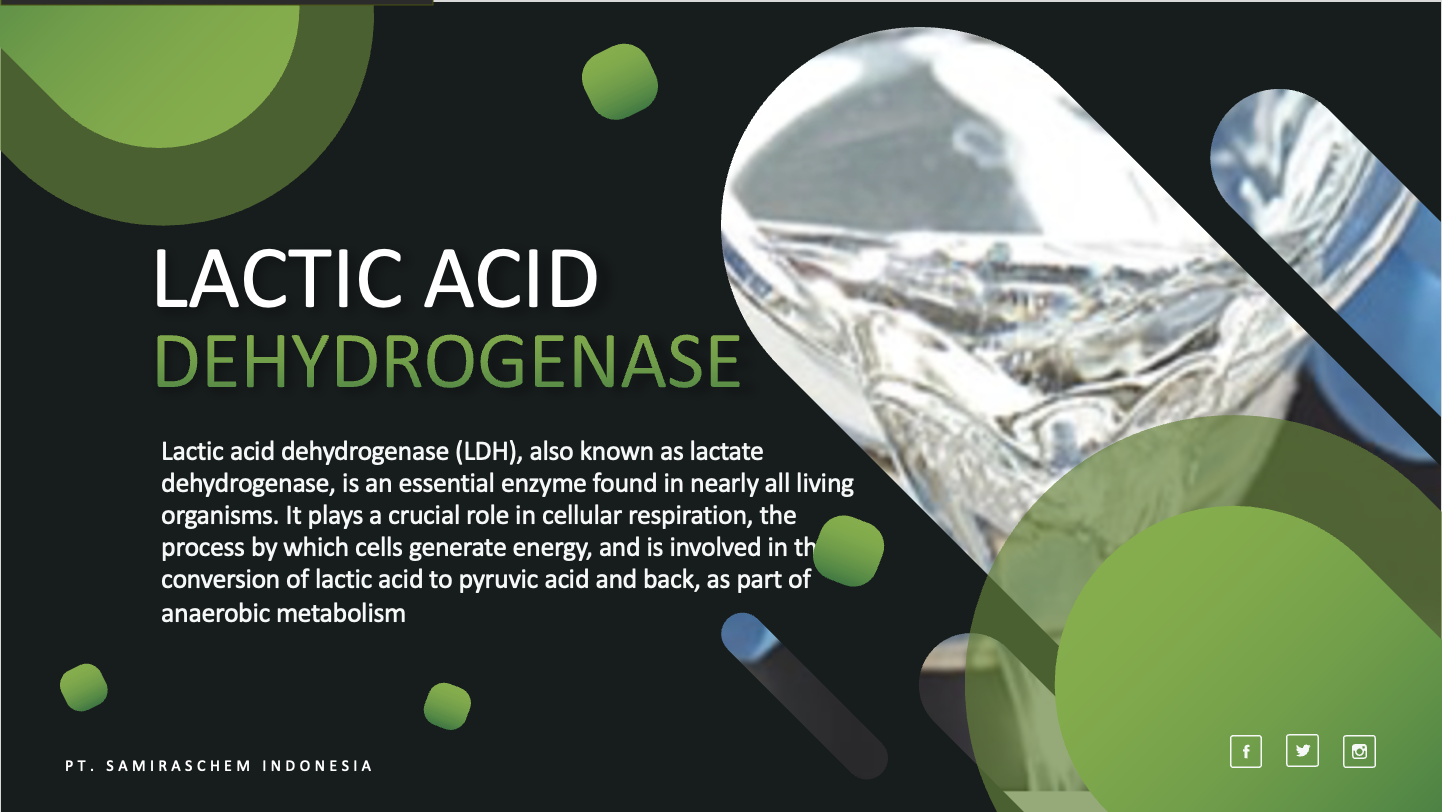 Lactic Acid Dehydrogenase Samiraschem
