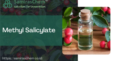 Jual Methyl Salicylate