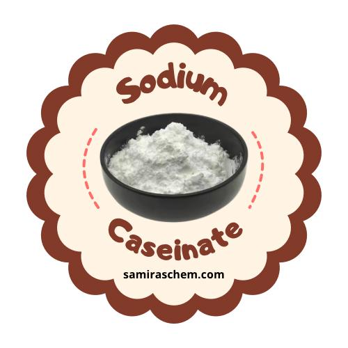kinetika kimia sodium caseinate