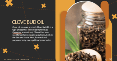 Jual Clove Bud Oil