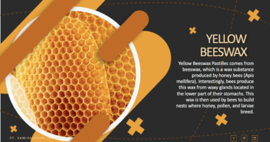 Jual Yellow Beeswax Pastilles