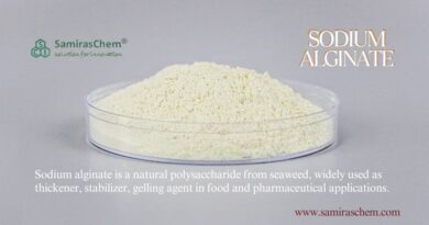 kinetika kimia sodium alginate