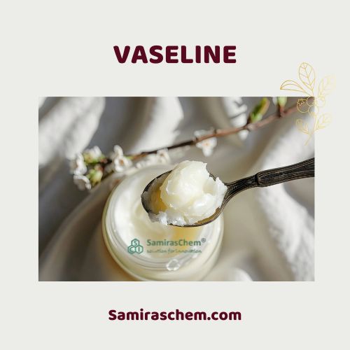 distributor vaseline terpercaya