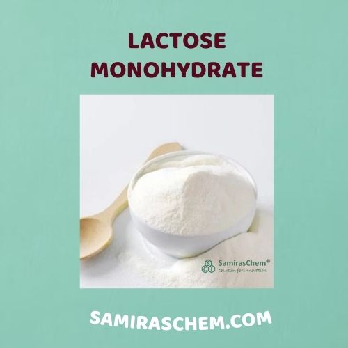 supplier lactose monohydrate terpercaya